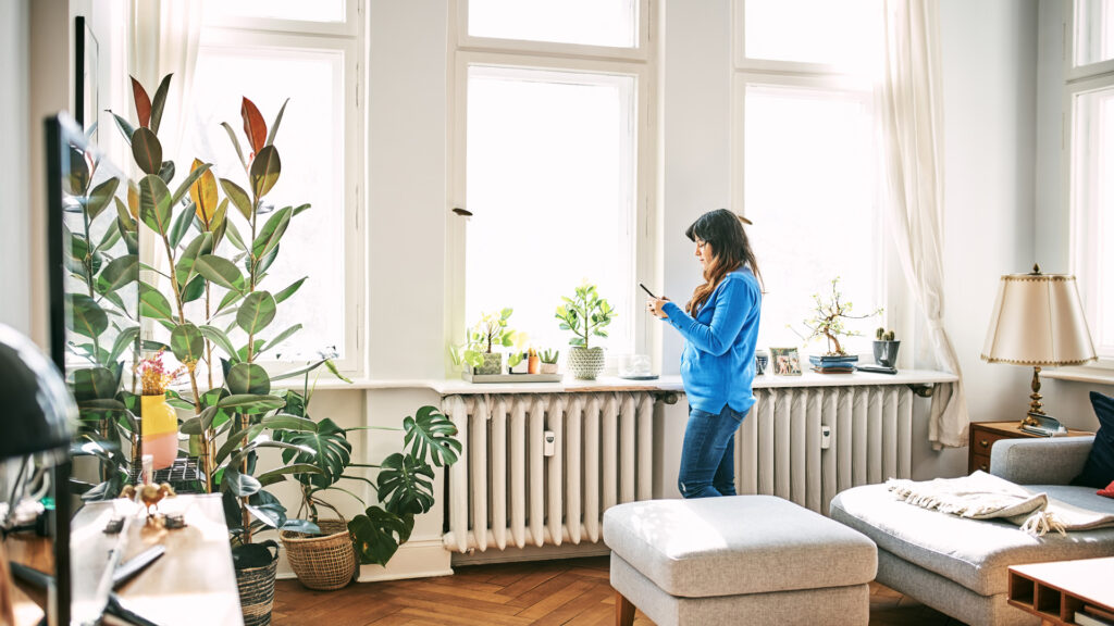 Immobilien zur Miete bewerben